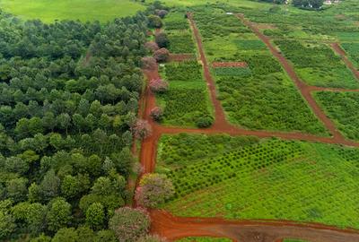 0.125 ac Residential Land in Ruiru - 3