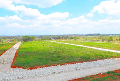 Residential Land in Thika