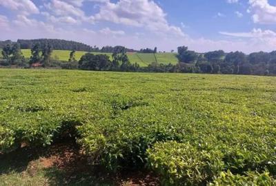 12.5 ac Land at Tigoni