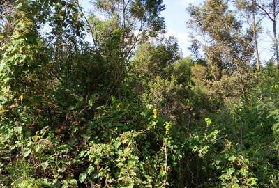 36 ac Land in Kikuyu Town - 4