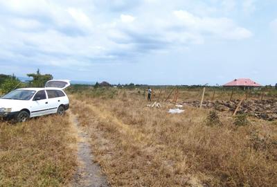 5,000 ft² Commercial Land at Malaa - 4