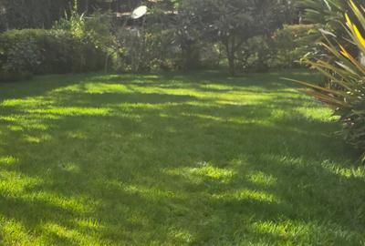 6 Bed Townhouse with Staff Quarters in Karen - 3