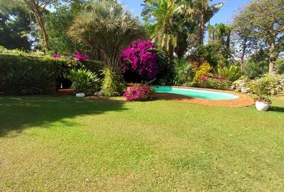 Furnished Bedsitter in Rosslyn