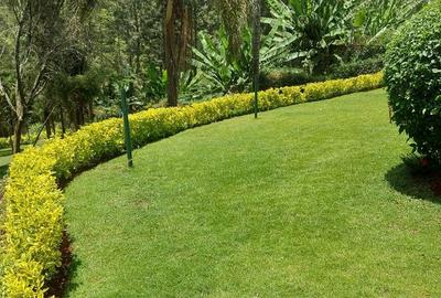 6 Bed House with En Suite at Karen Miotoni Road - 4