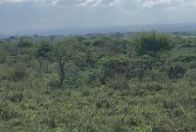 1 ac Residential Land at Daystar Athiriver - 2