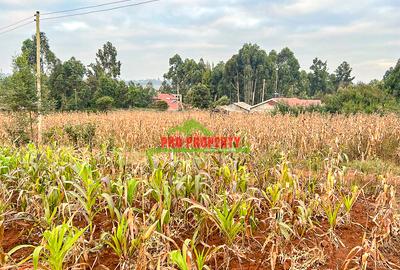 0.05 ha Residential Land in Kamangu