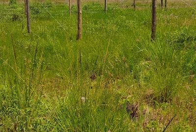 Land at Riverline Ridges