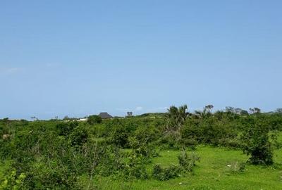 202,350 m² Land in Vipingo