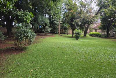 Commercial Land in Lavington