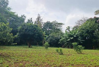 0.5 ac Land in Runda - 2