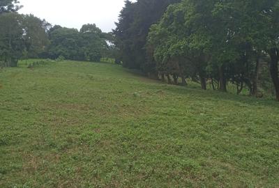 0.5 ac Residential Land in Redhill