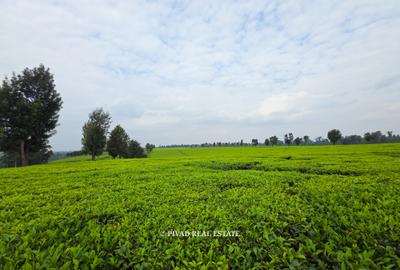 995 ac Land in Tigoni - 2