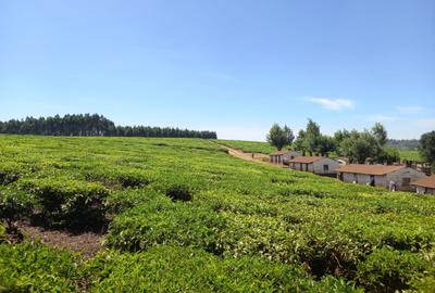 250 ac Land at Kiambu - 3