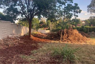 0.55 ac Land at Elias Zagoretis