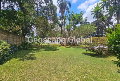 Commercial Property with Backup Generator in Spring Valley - 2