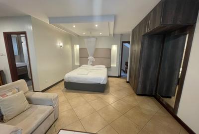 Serviced Studio Apartment with Swimming Pool at Karuna Road - 2