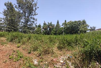 0.5 ac Land at Estate Road - 3