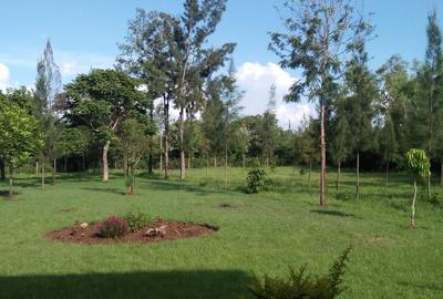 1 ac Land at James Gichuru Rd.