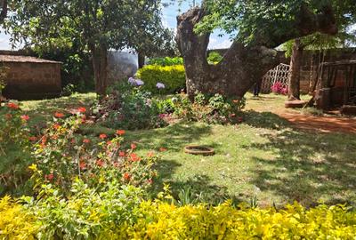 0.25 ac Commercial Land in Ruaka - 2