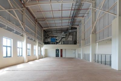 23,000 ft² Warehouse with Backup Generator in Thika Road - 3