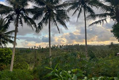 0.75 ac Land at Ls139