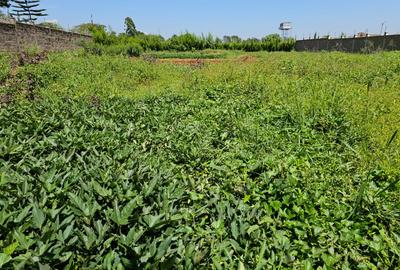 0.125 ac Land at Kirigiti