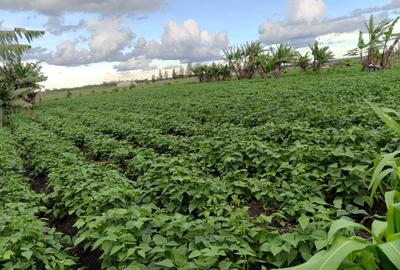 10.75 ac Land at Kisaju - 4