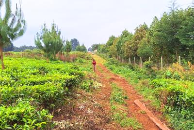 20 ac Residential Land at Riara Ridge - 4