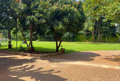 Serviced 2 Bed Apartment with En Suite at Nyari - 2