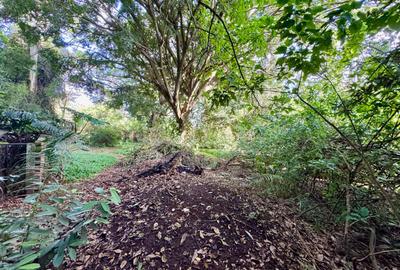 Residential Land at Mandera Rd