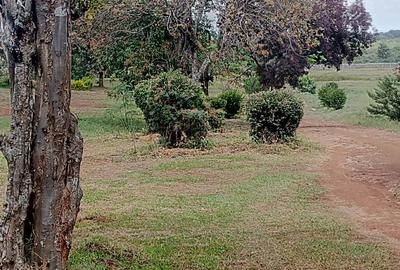 0.25 ac Land at Offthika Highway