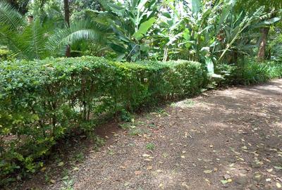 Land in Muthaiga - 3