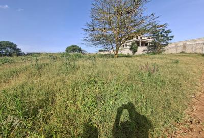 Residential Land at Runda