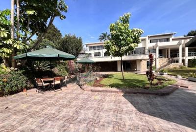 Commercial Property with Backup Generator in Lavington - 2