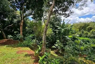 4 Bed House with En Suite at Loresho - 3