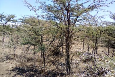 Land at Nanyuki-Rumuruti Rd