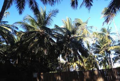 Residential Land in Vipingo - 4