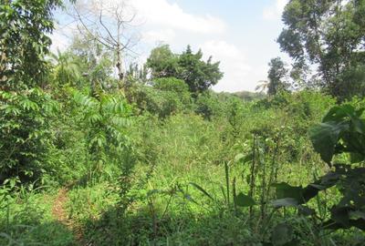 1 ac Land at Runda Grove