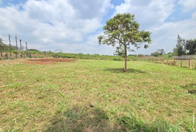 Residential Land at Runda Garden