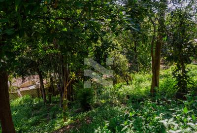 1 ac Land in Muthaiga - 3