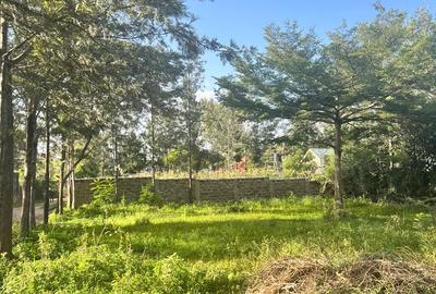 Residential Land at Kandisi - 4