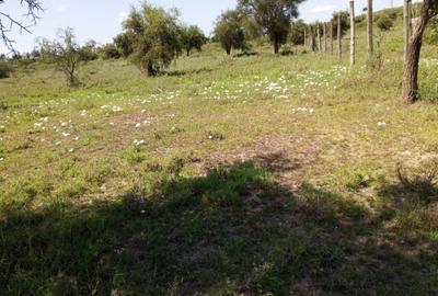 1 ac Land in Ongata Rongai