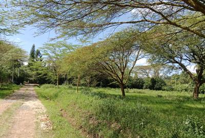 Land at Roysambu