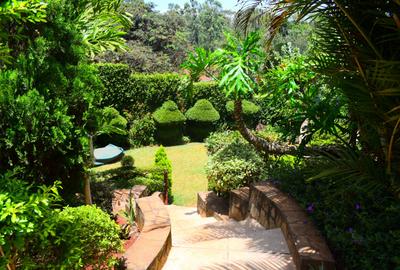 4 Bed House with En Suite in Westlands Area - 3