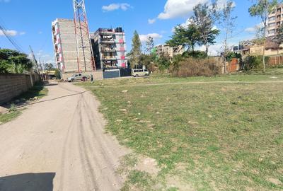 Commercial Land at Ruiru Kamakis - 4