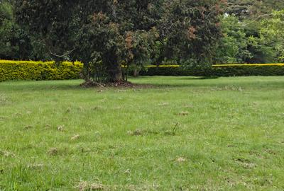 1 ac Land in Karen