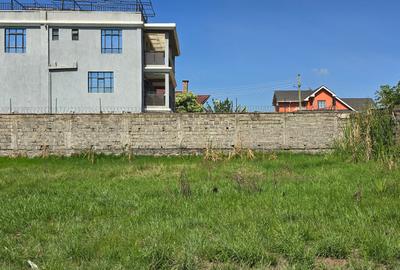 0.125 ac Residential Land at 2Nd Avenue - 4