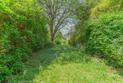 1 ac Land at Ushirika Road - 2