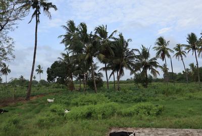 20 ac Land in Kikambala