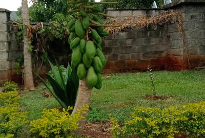 4 Bed House in Runda